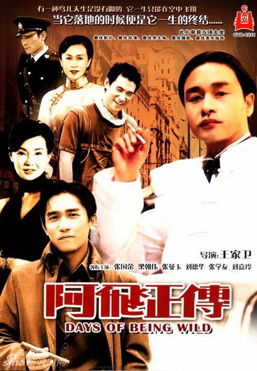 西佛罗里达大学 Physics degree